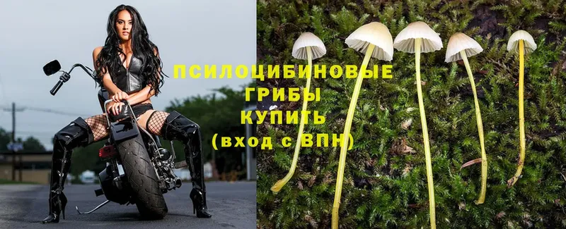 Псилоцибиновые грибы MAGIC MUSHROOMS  Нижние Серги 